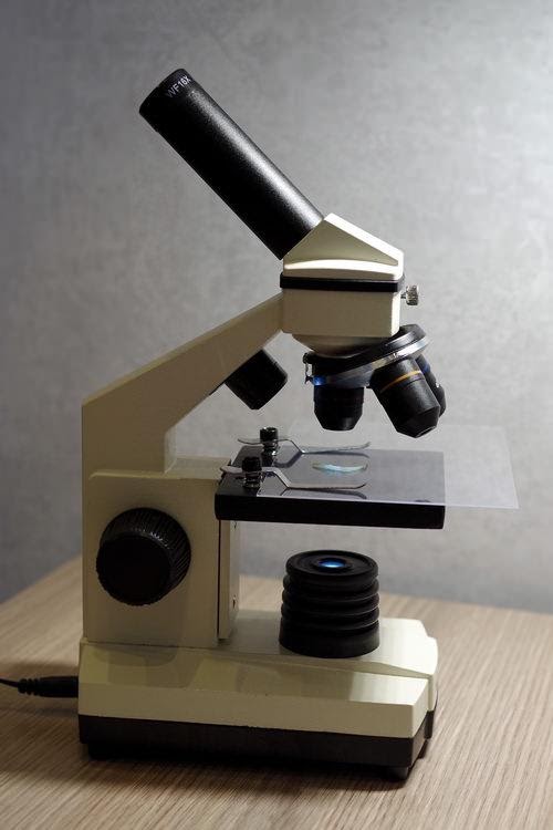 Обзор микроскопа LEVENHUK 2L для домашнего использования